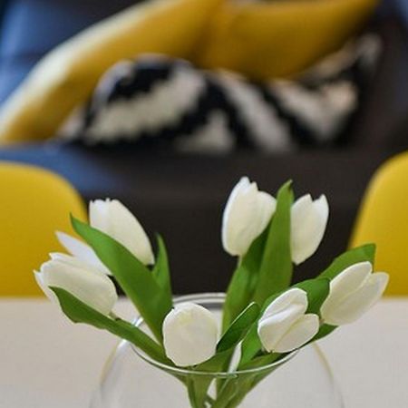 Mediterraneo Garden Apartments Petrcane Δωμάτιο φωτογραφία