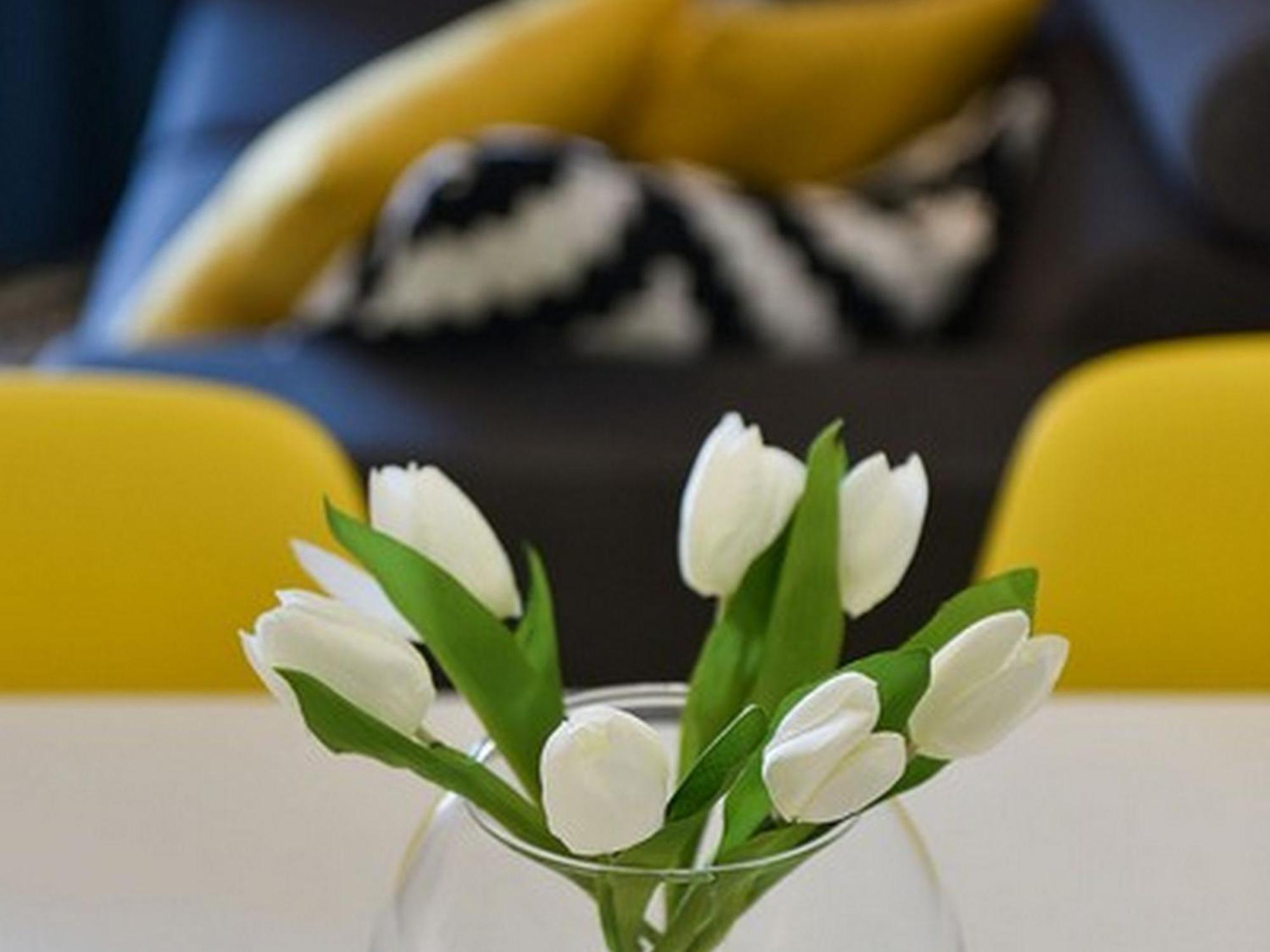 Mediterraneo Garden Apartments Petrcane Δωμάτιο φωτογραφία